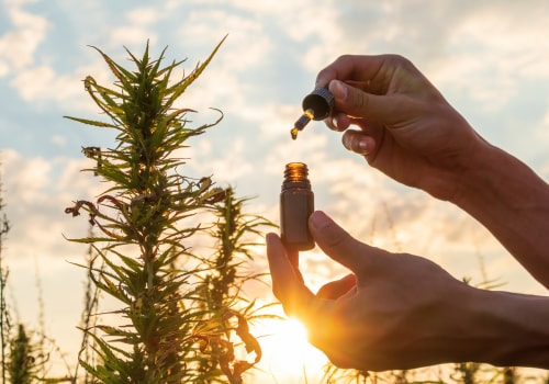 Strong CBD Flower vs Average CBD Flower: What’s the Difference?