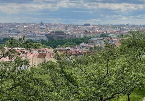 What Is an Orchard? Meaning, History & Why They Still Matter Today